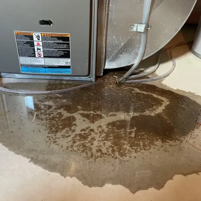 Appliance Leak Cleanup in Veradale, WA